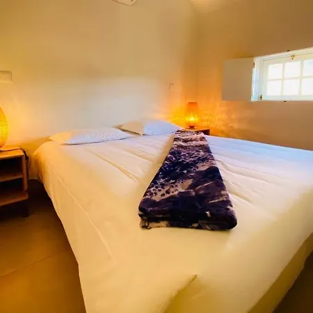 Aldeia Do Tamega Gæstehus 3*
