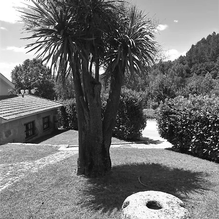 Aldeia Do Tamega Guest house 3*