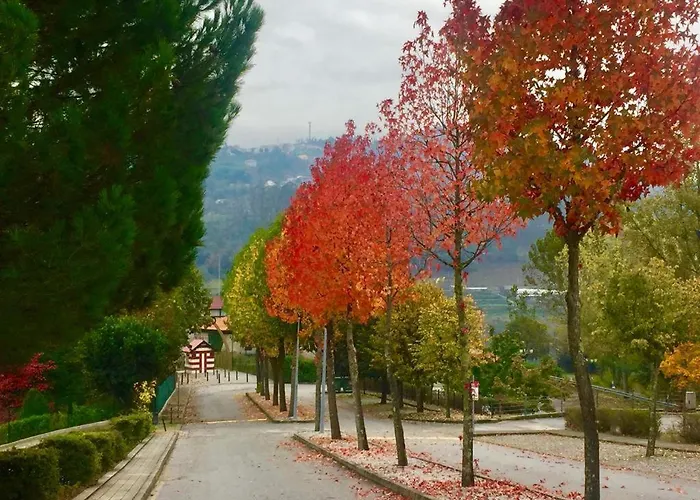 Gasthuis Aldeia Do Tamega 3*